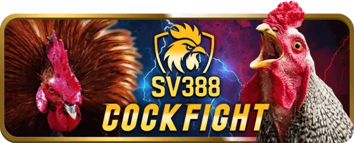 Điều kiện khuyến mãi P3BET Casino