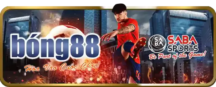 Chiến lược cá cược thể thao P3BET